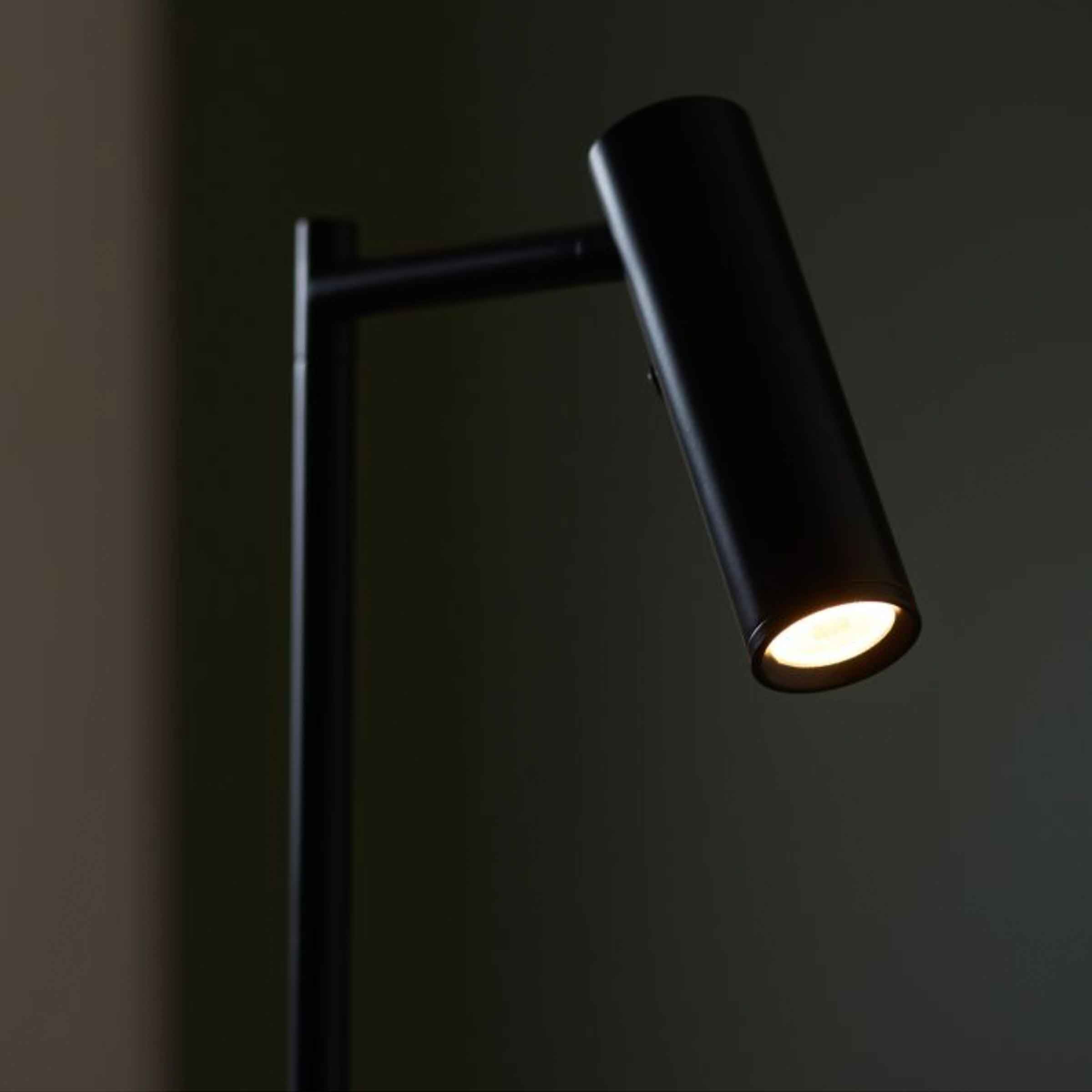 Dedicated Reader Floor Lamp