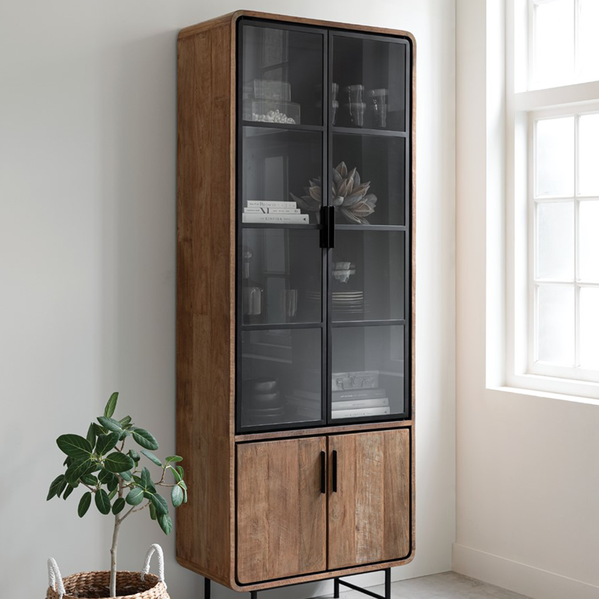 Evo Showcase Cabinet