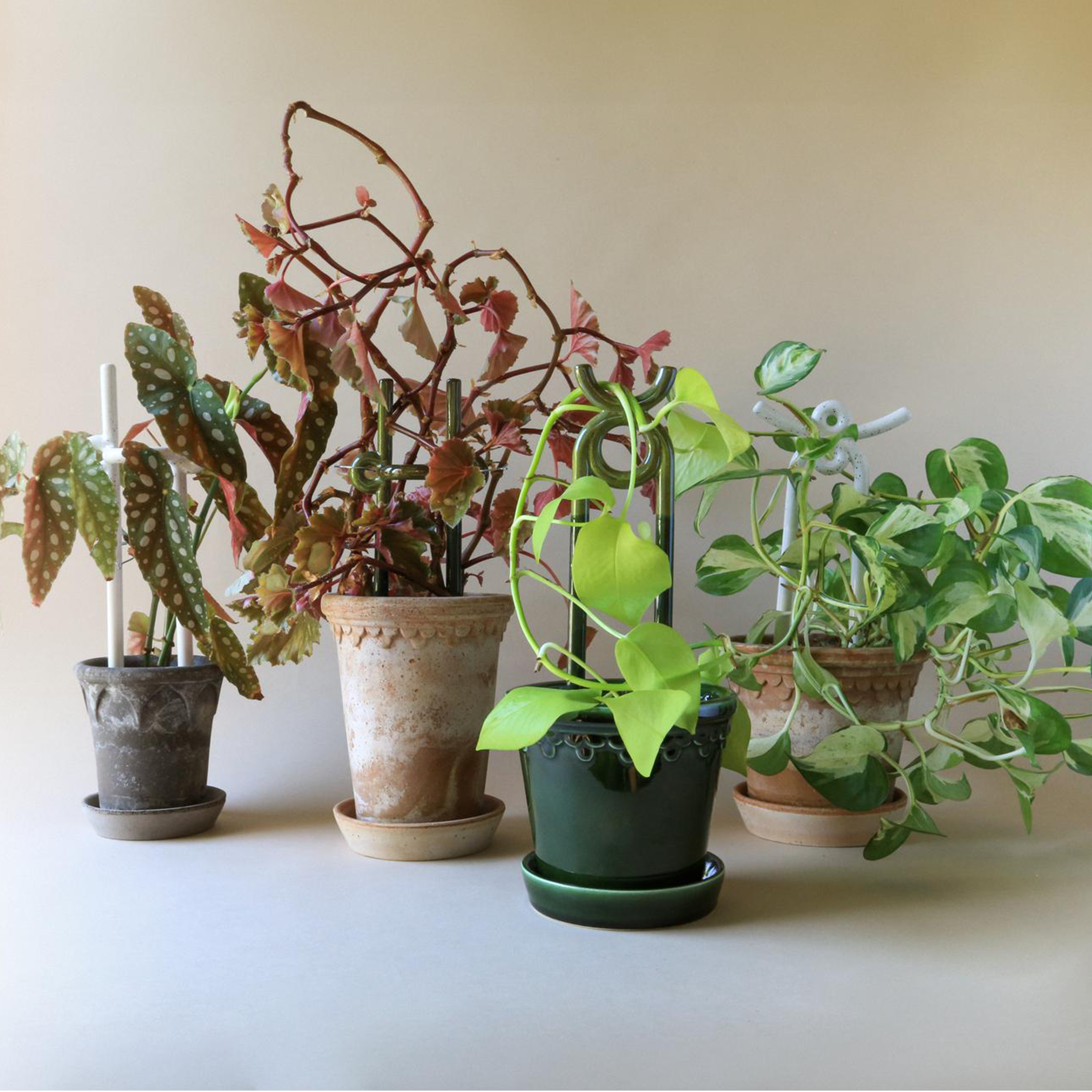 Folk Plant Stake | Hinto