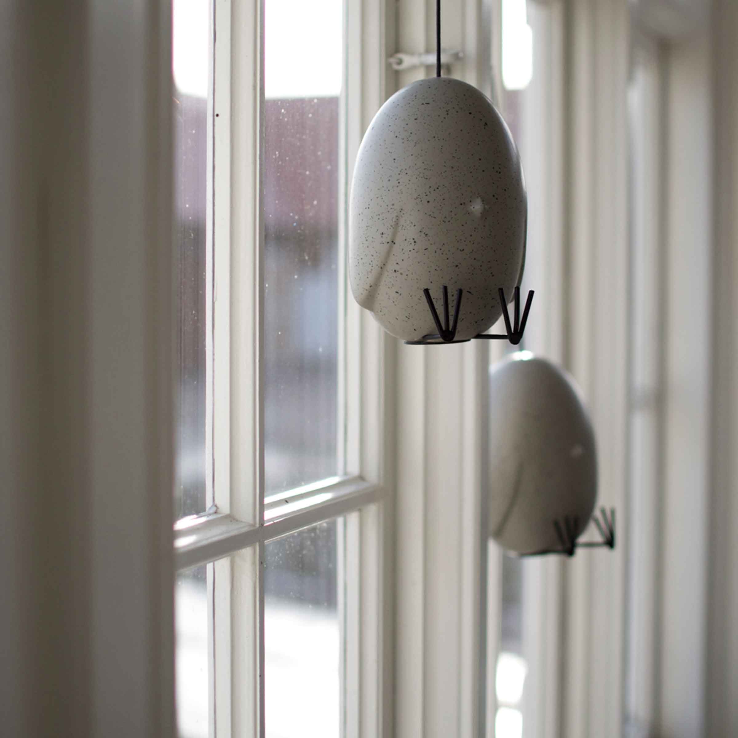 Hang Around Chicken | Mole Dot