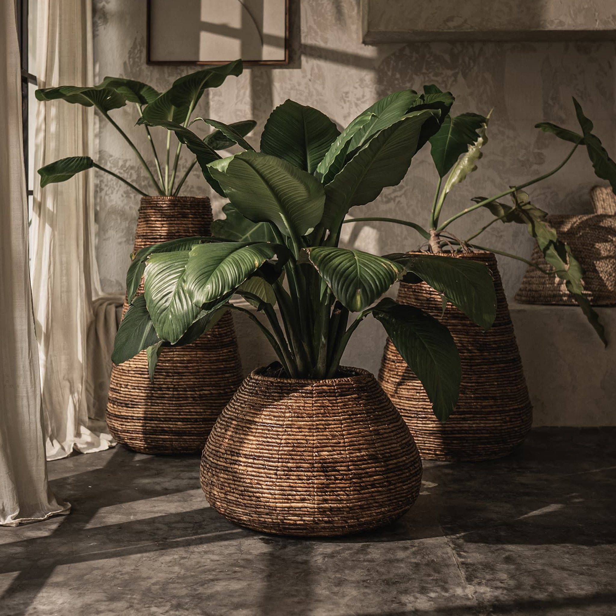 Java Planter