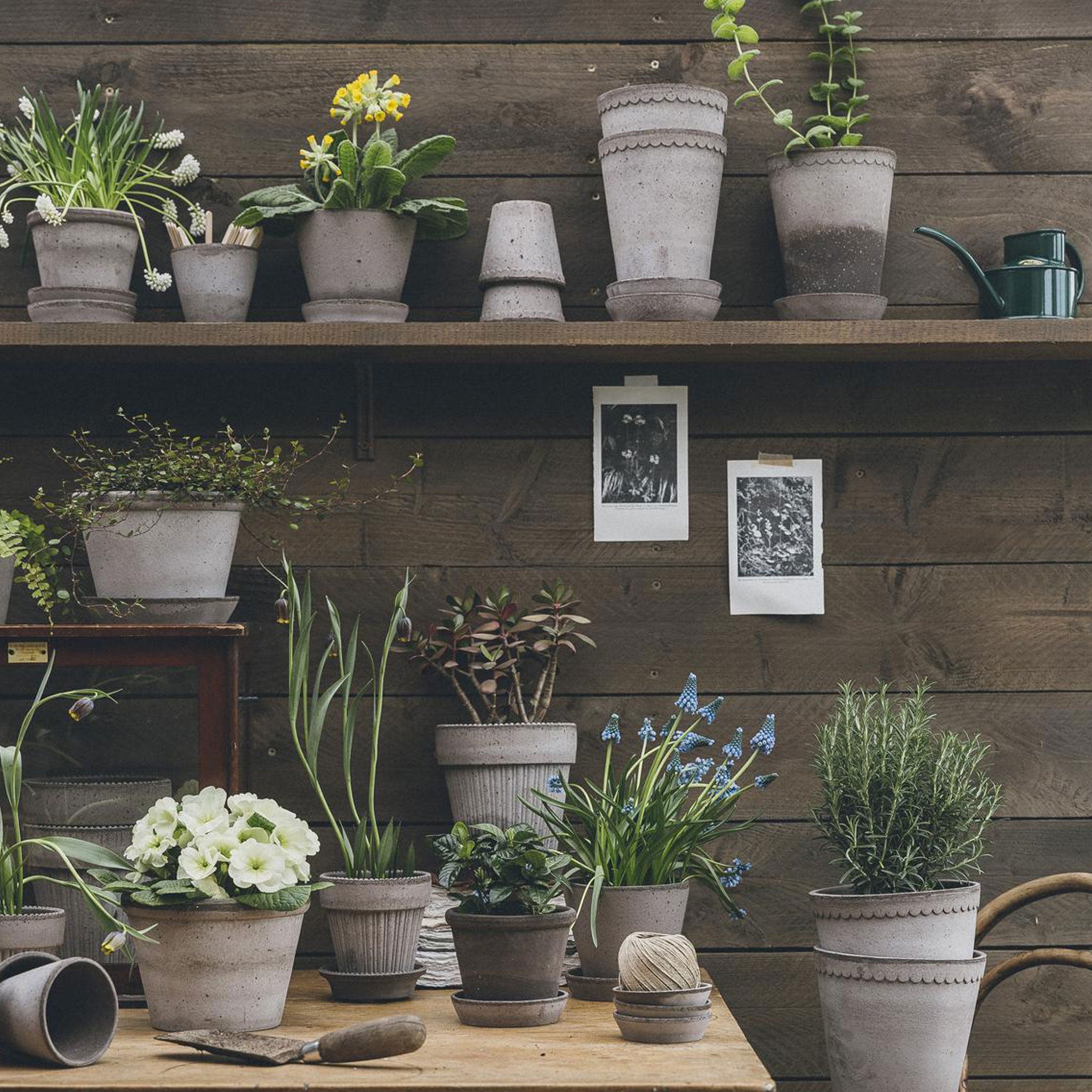 Julie Plant Pot + Saucer | Grey