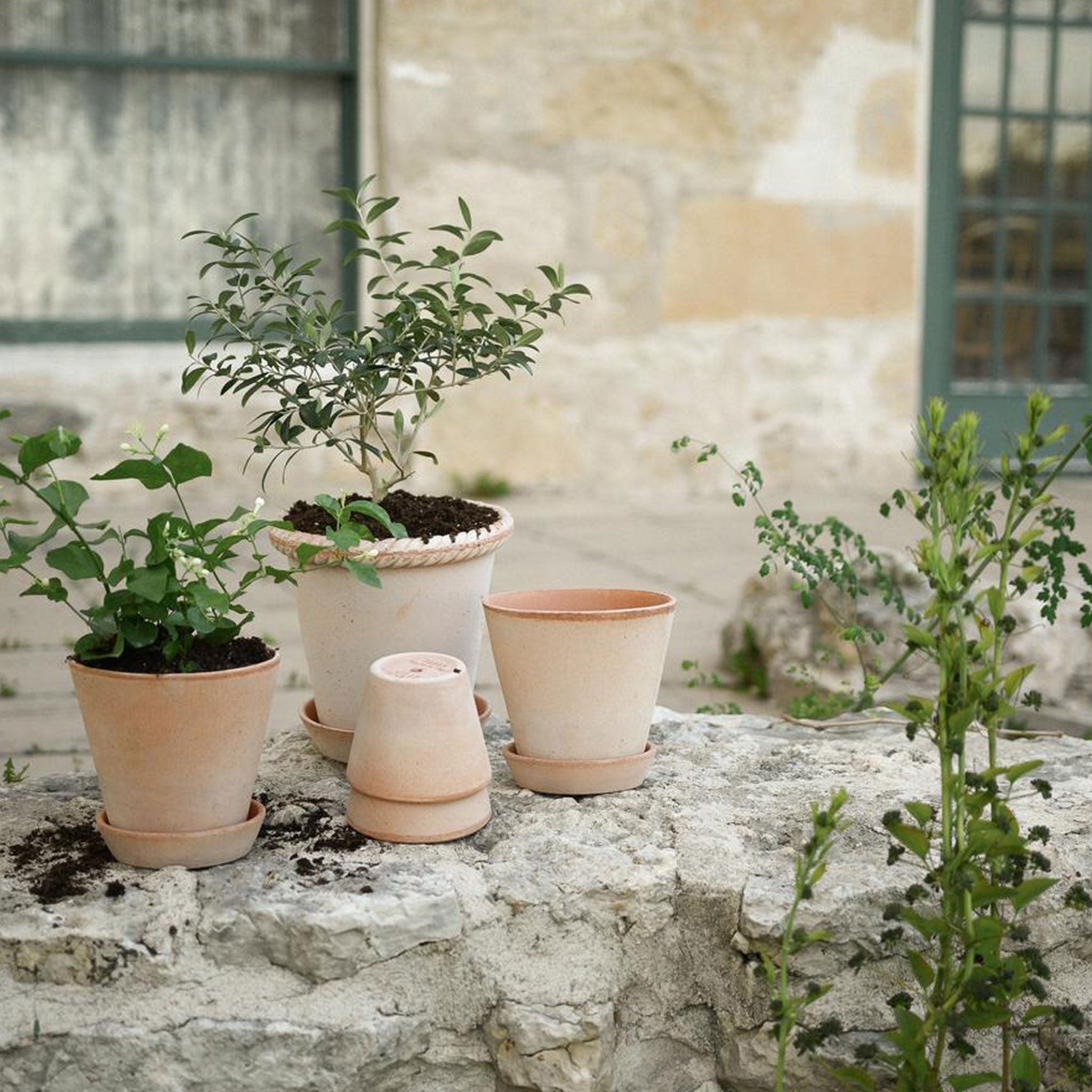 Julie Plant Pot + Saucer | Rosa