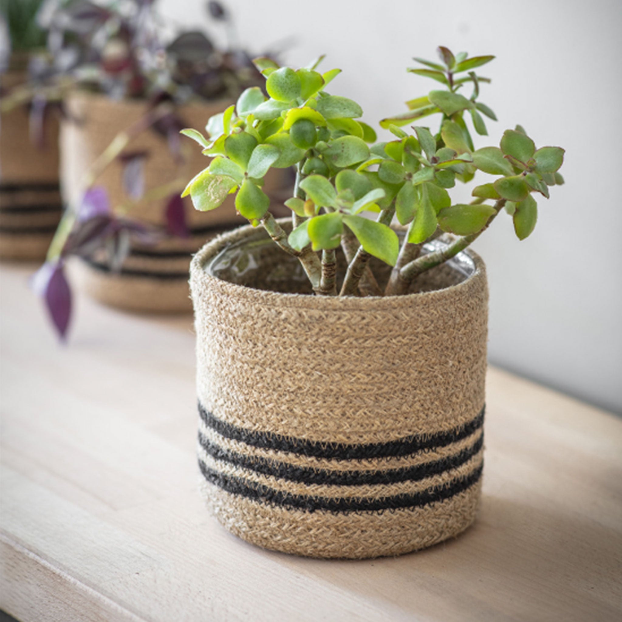 Jute Striped Pot | Black + Natural