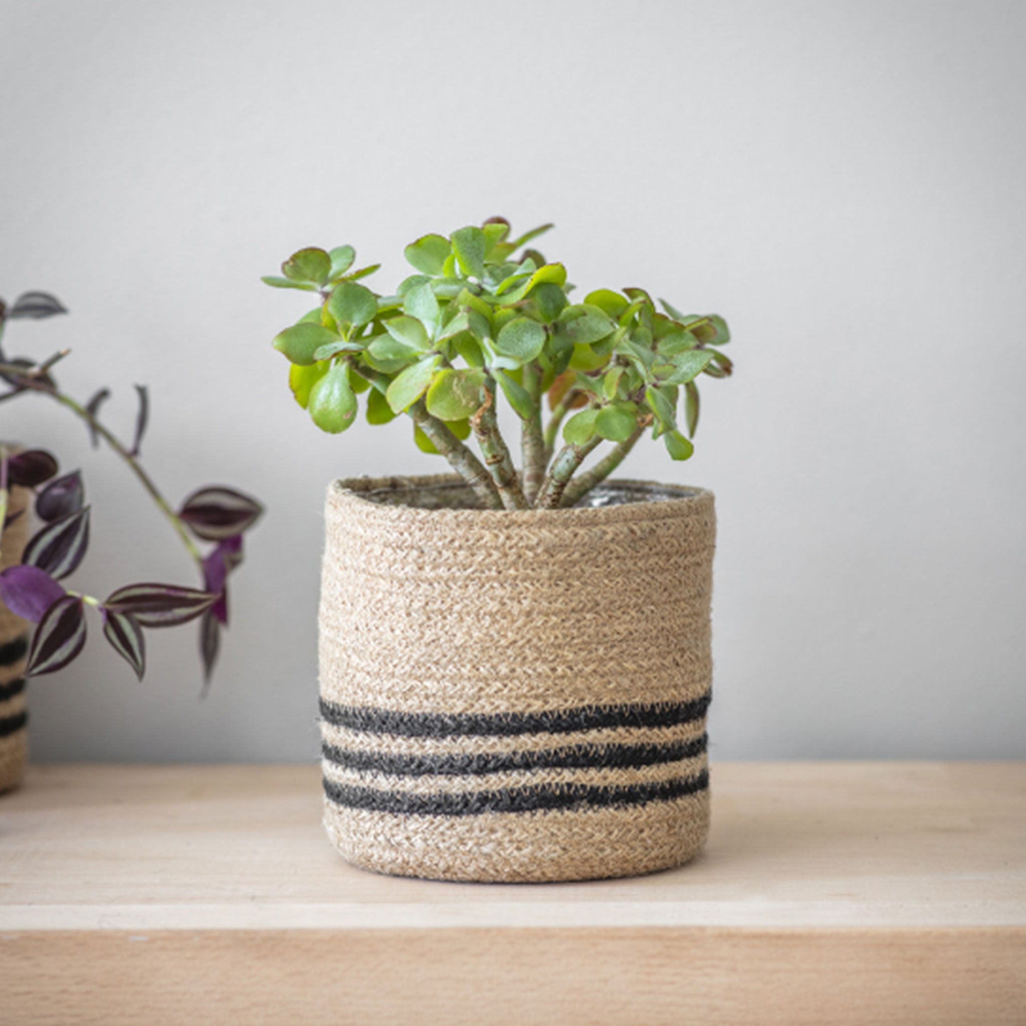Jute Striped Pot | Black + Natural