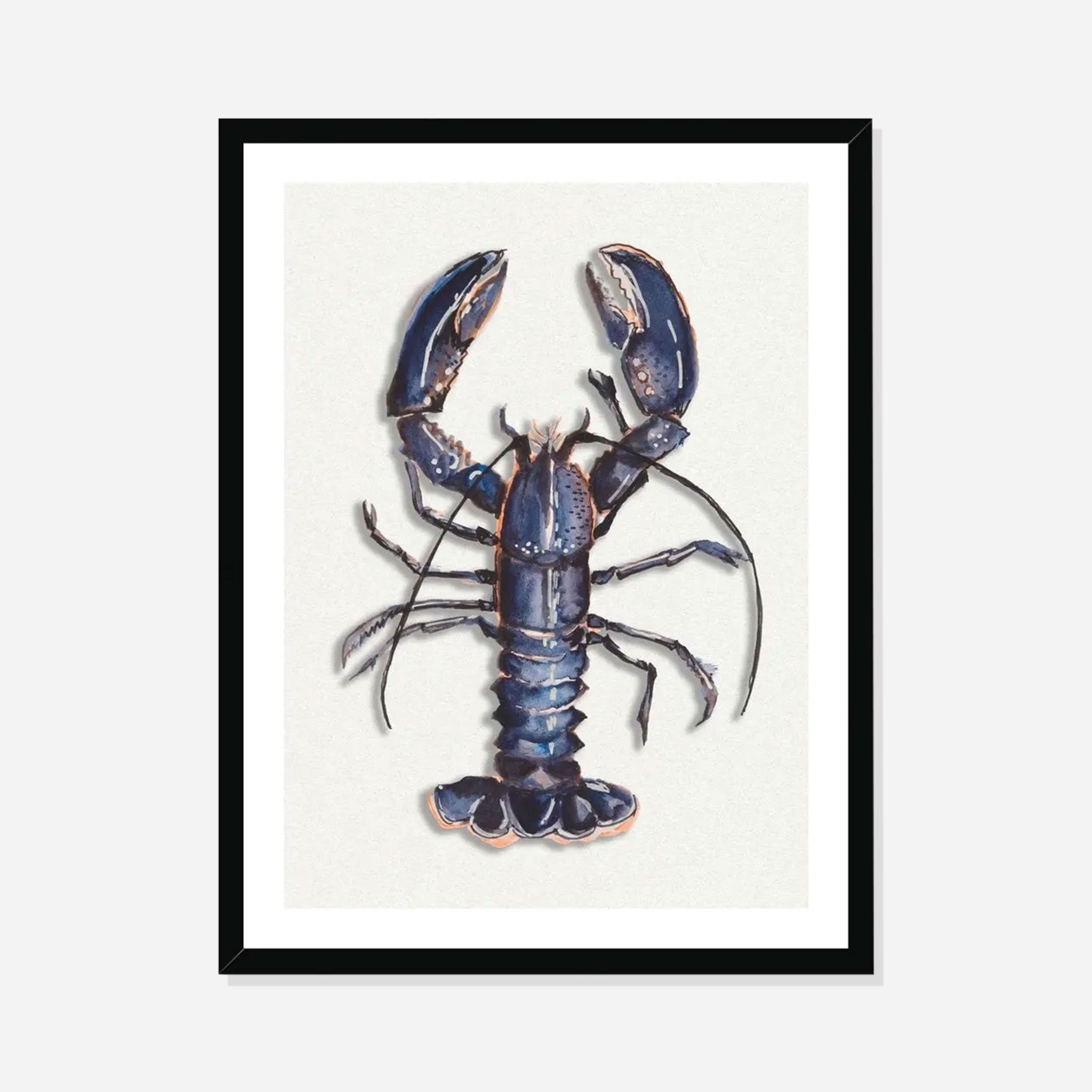 Lobster Watercolour Shellfish Print – BluBambu Living
