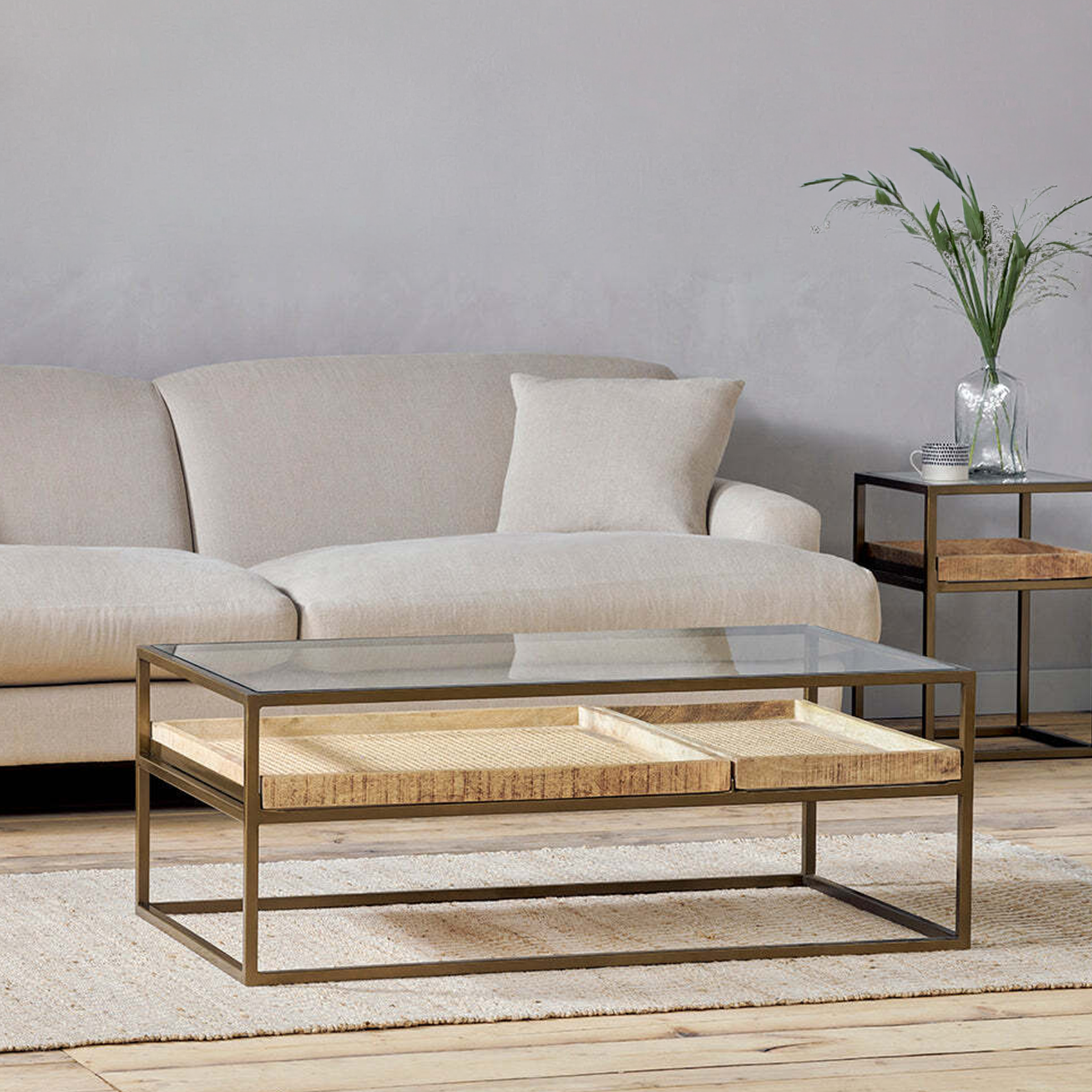 Anyar Iron & Mango Wood Display Coffee Table
