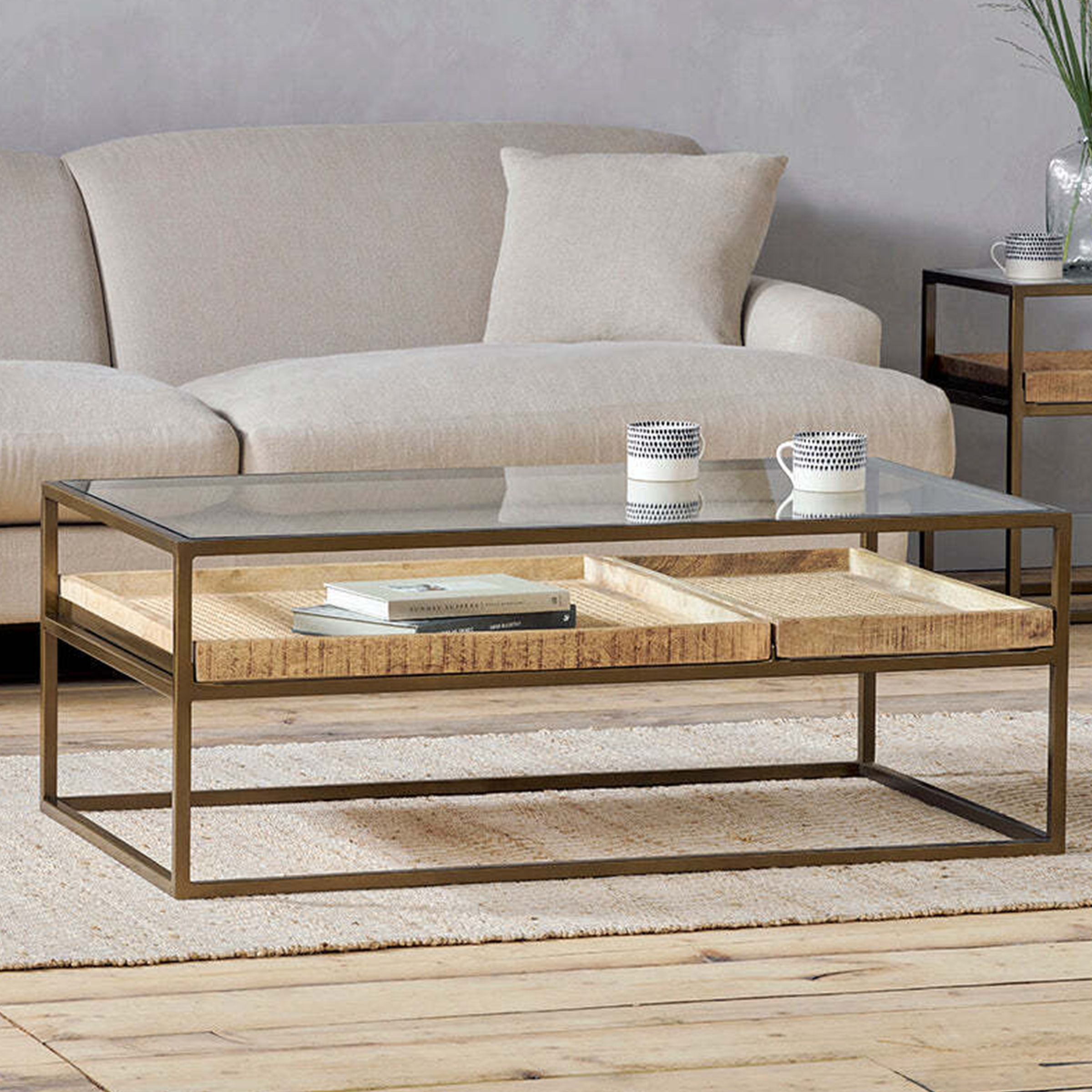 Anyar Iron & Mango Wood Display Coffee Table
