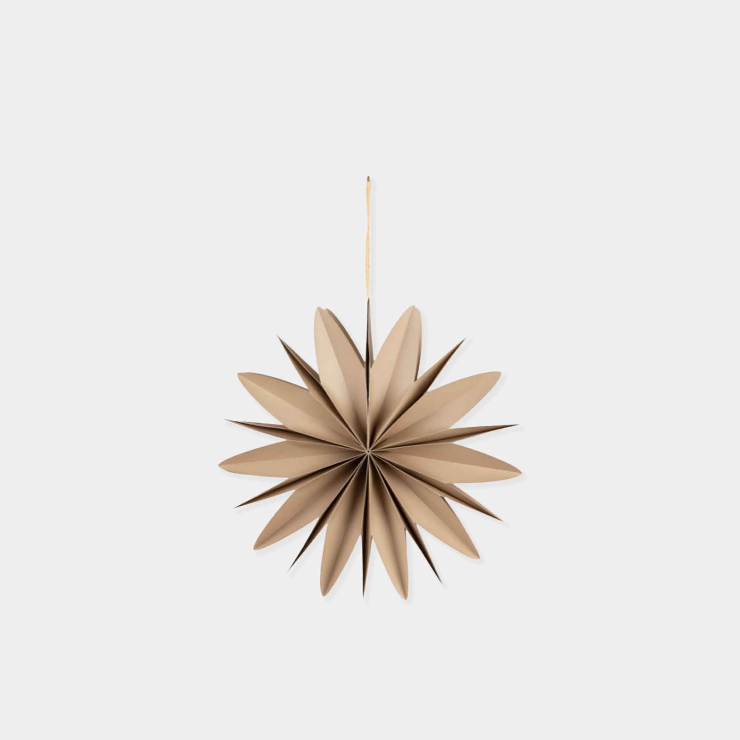 Maddox Christmas Curved Star - Truffle Paper Decoration