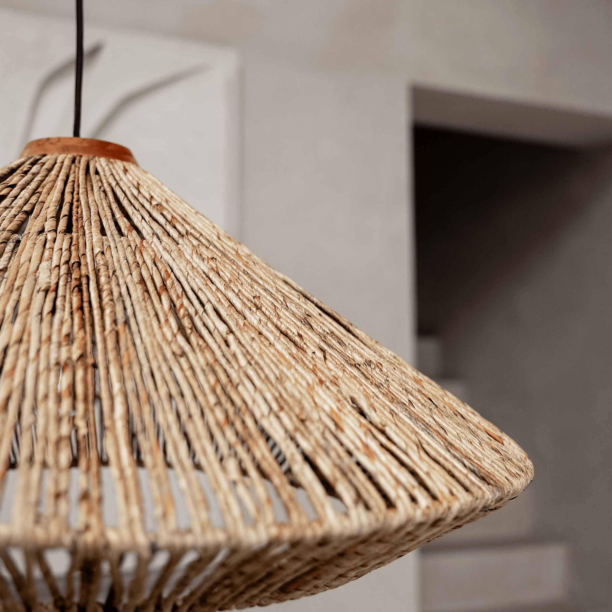 Paragon Hanging Lamp