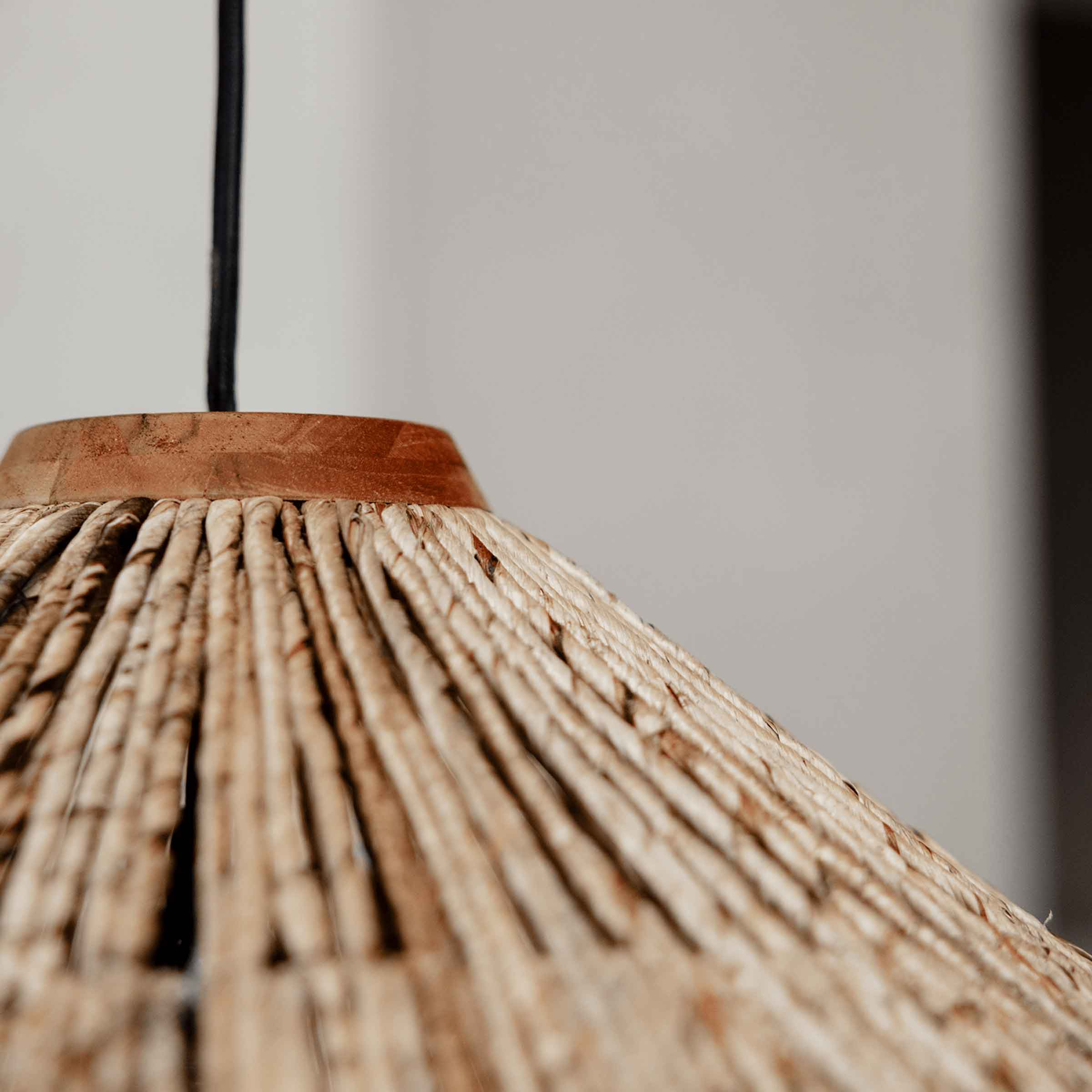 Paragon Hanging Lamp