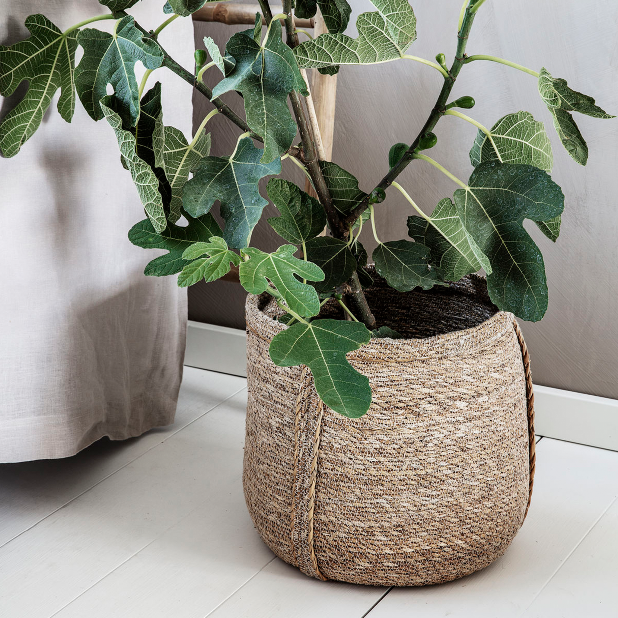 Plant Nature Basket Set