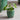 Positano Pot | Forest Green | 7.2cm