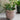 Positano Pot | Stone | 20cm