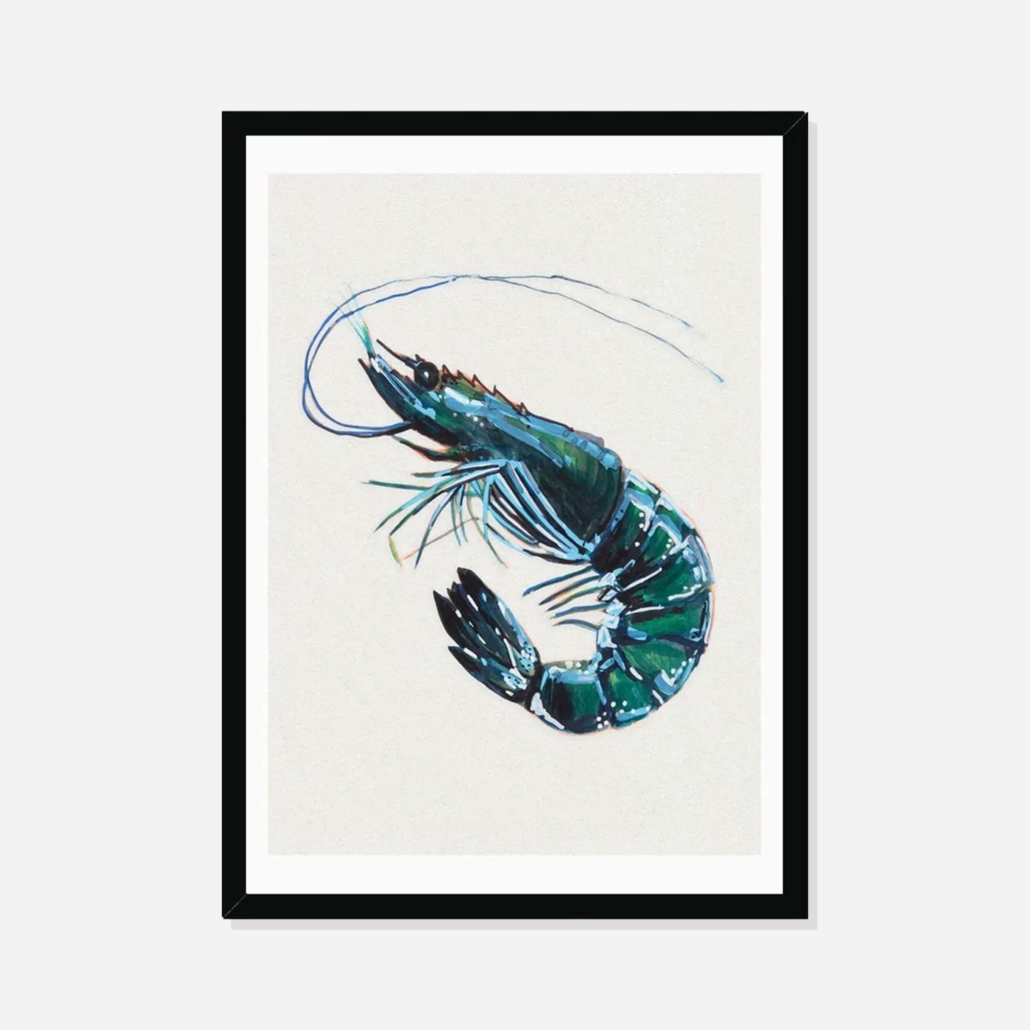 Prawn Watercolour Shellfish Art