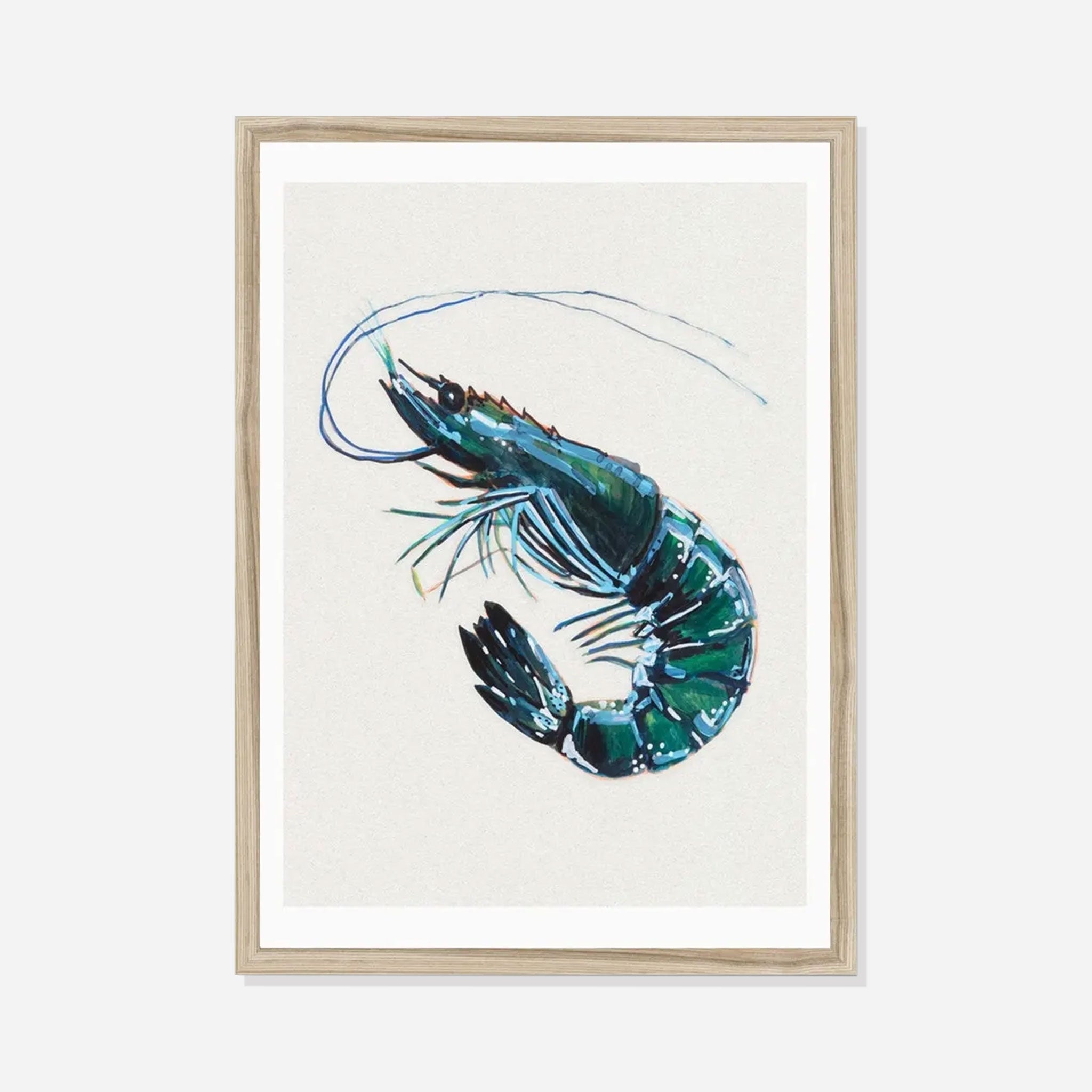 Abstract Shellfish Art Prawn Watercolour Shellfish Art – BluBambu Living