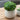 Ravello Pot | 15.5cm