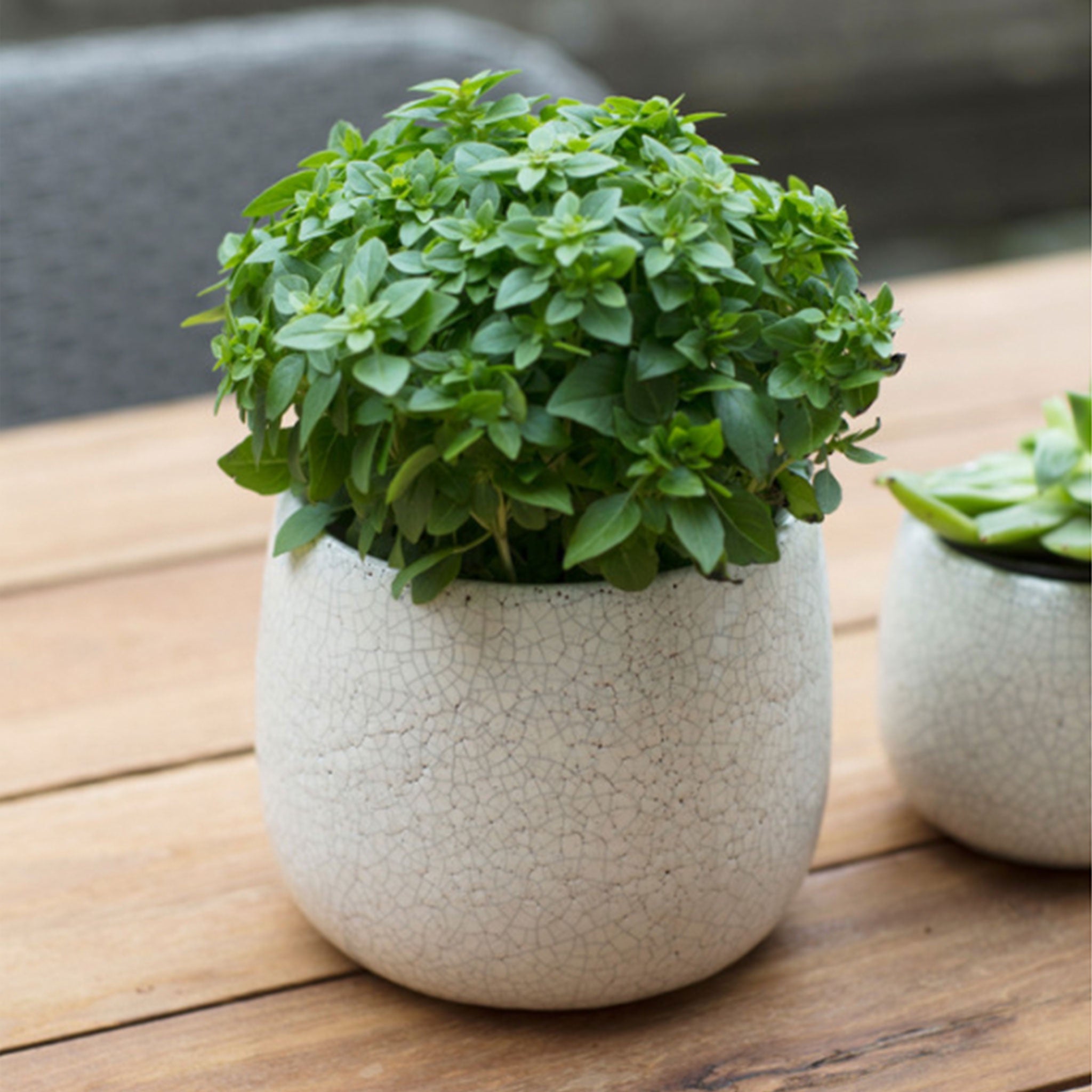 Ravello Pot | 15.5cm
