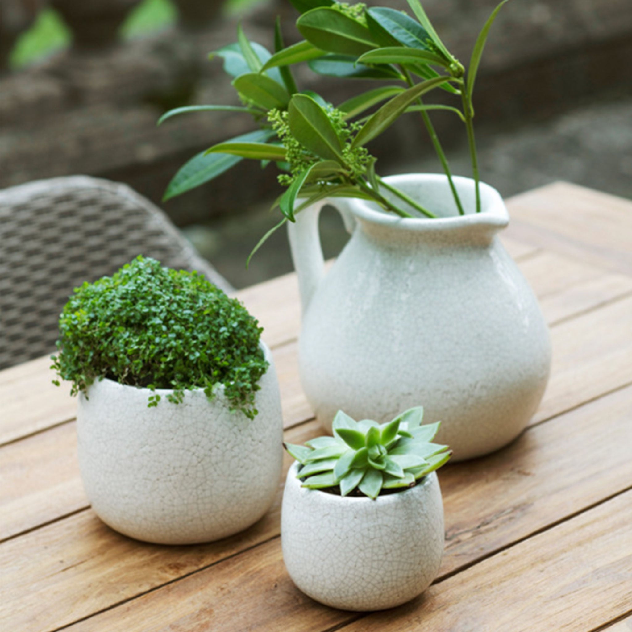 Ravello Pot | 15.5cm