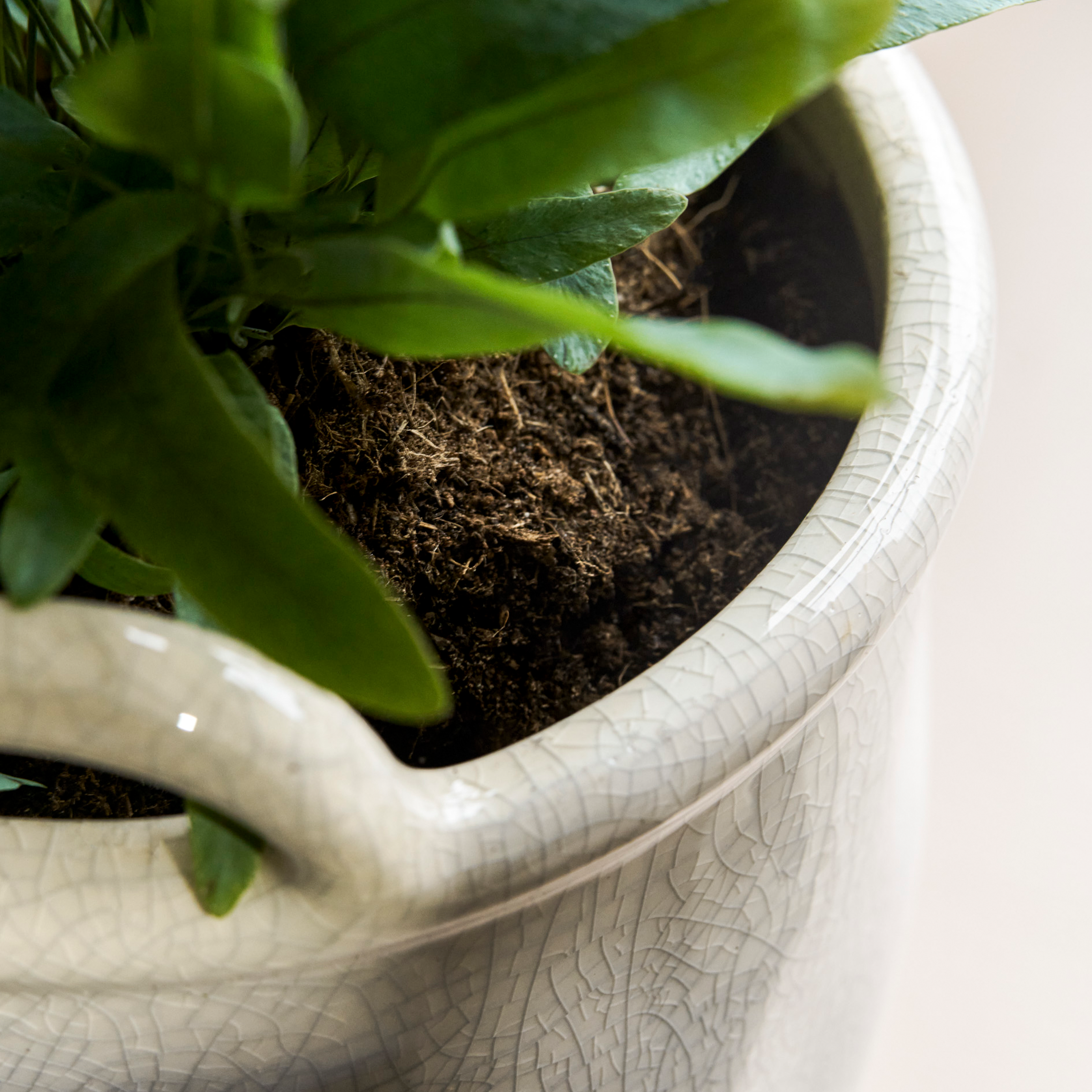 Ravello Rounded Pot