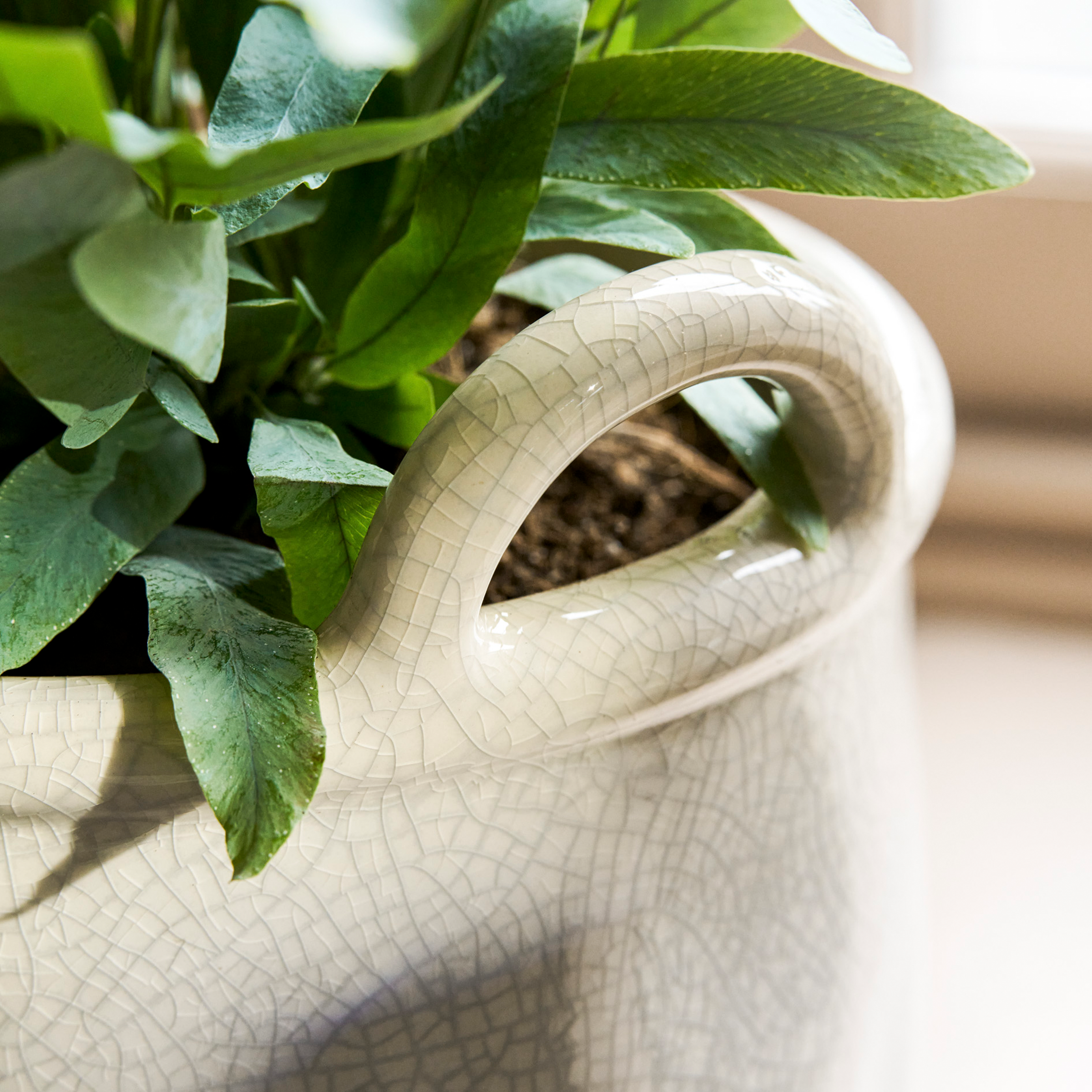 Ravello Rounded Pot