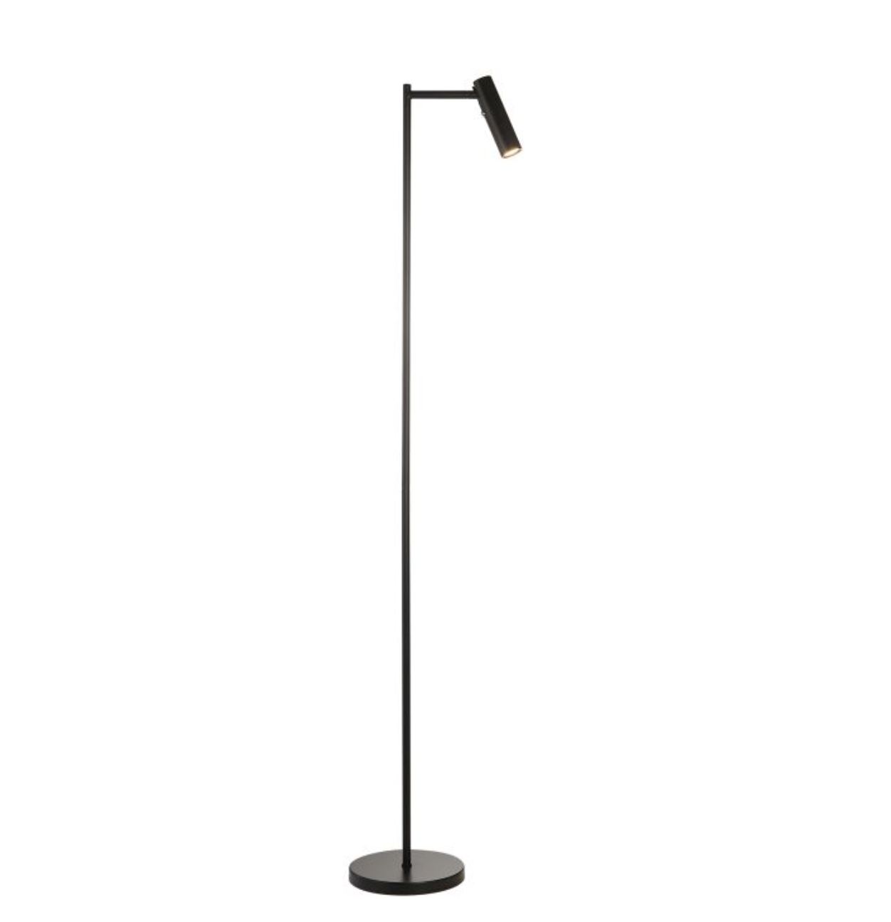 Dedicated Reader Floor Lamp