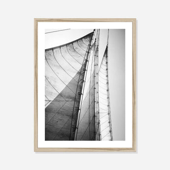Skyward Sails (Black + White Photography) - Framed