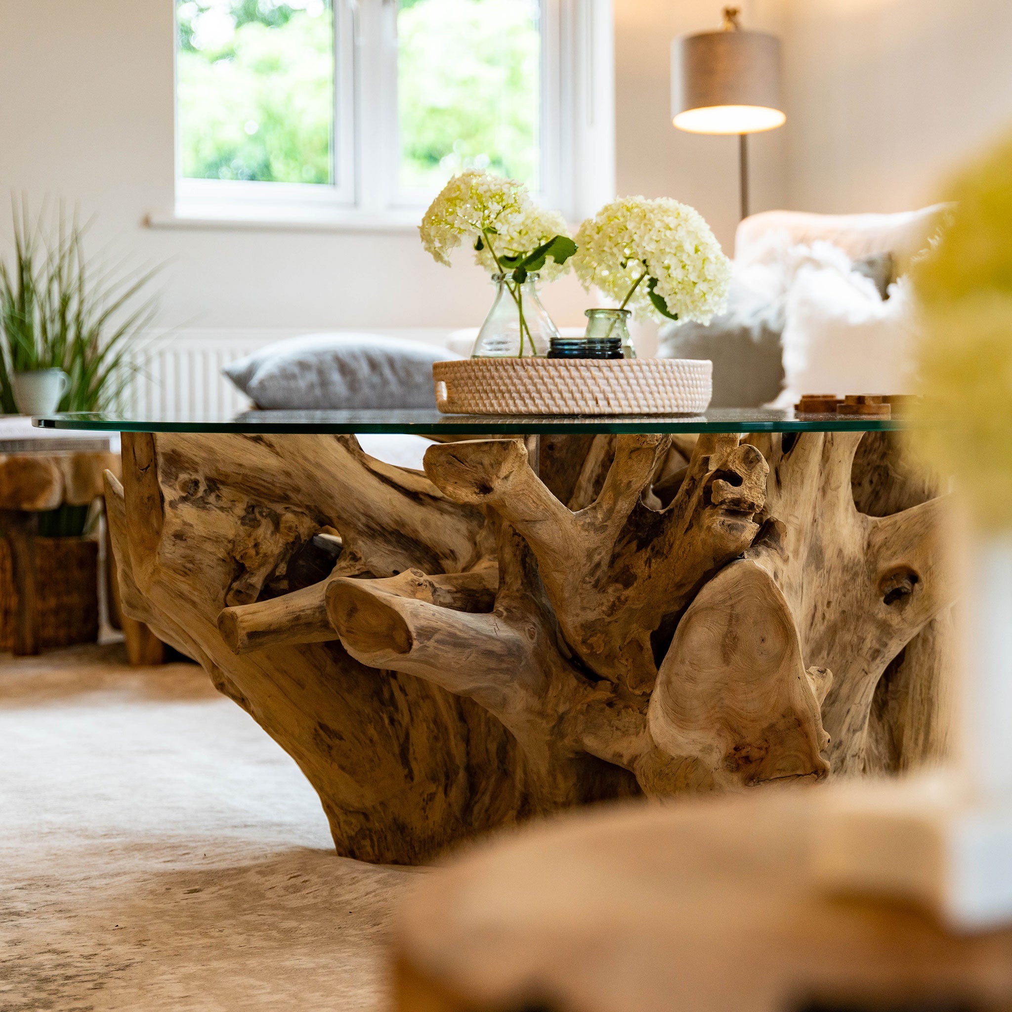 Teak Root Coffee Table | 120cm