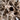 Teak Root Dining Table 200cm #2