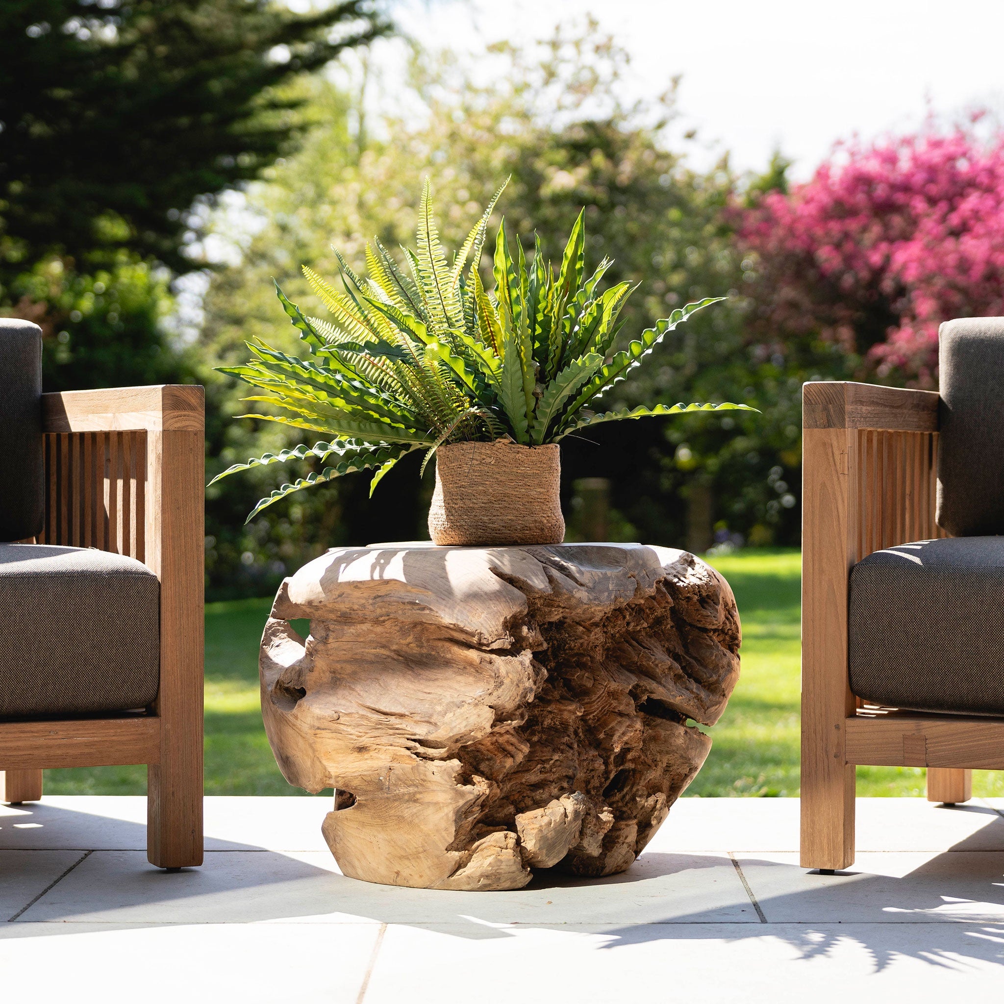 Teak Root Sitting Ball