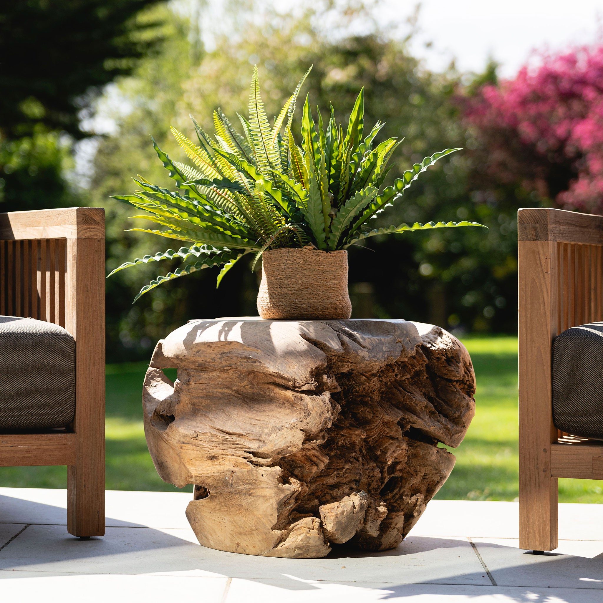 Teak Root Sitting Ball