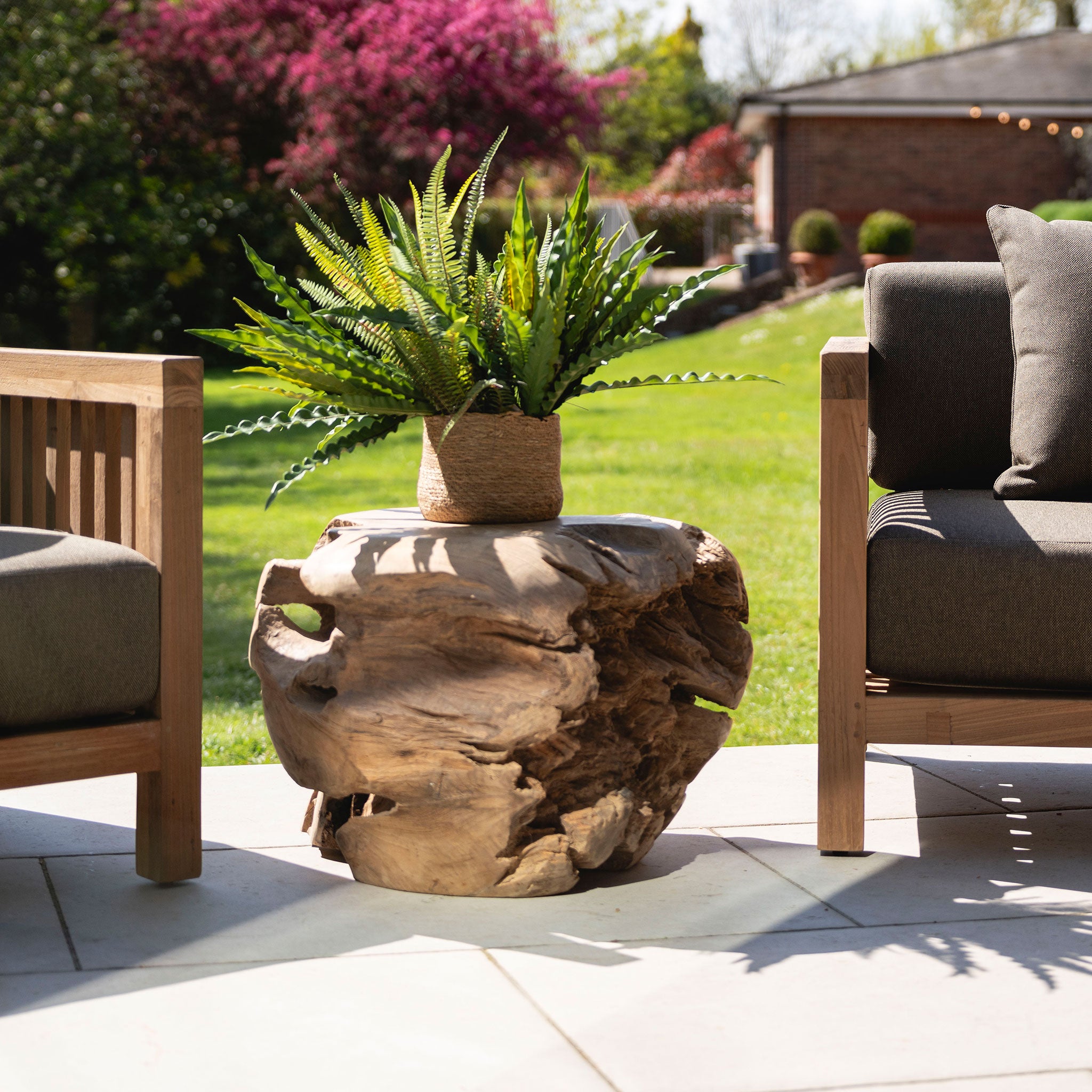 Teak Root Sitting Ball