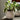 Winkleigh Pot | 14.5cm