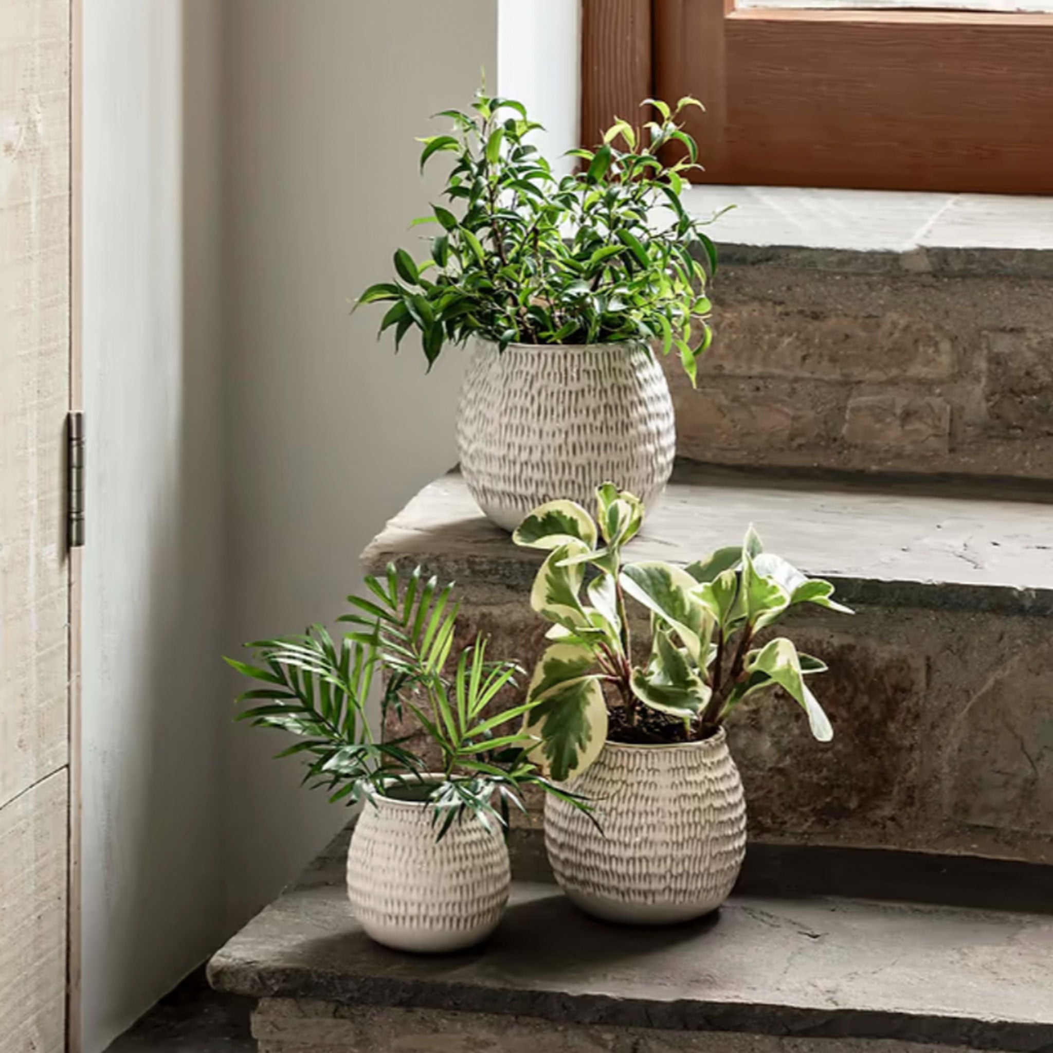 Winkleigh Pot | 14.5cm