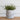 Withington Pot | 15.5cm