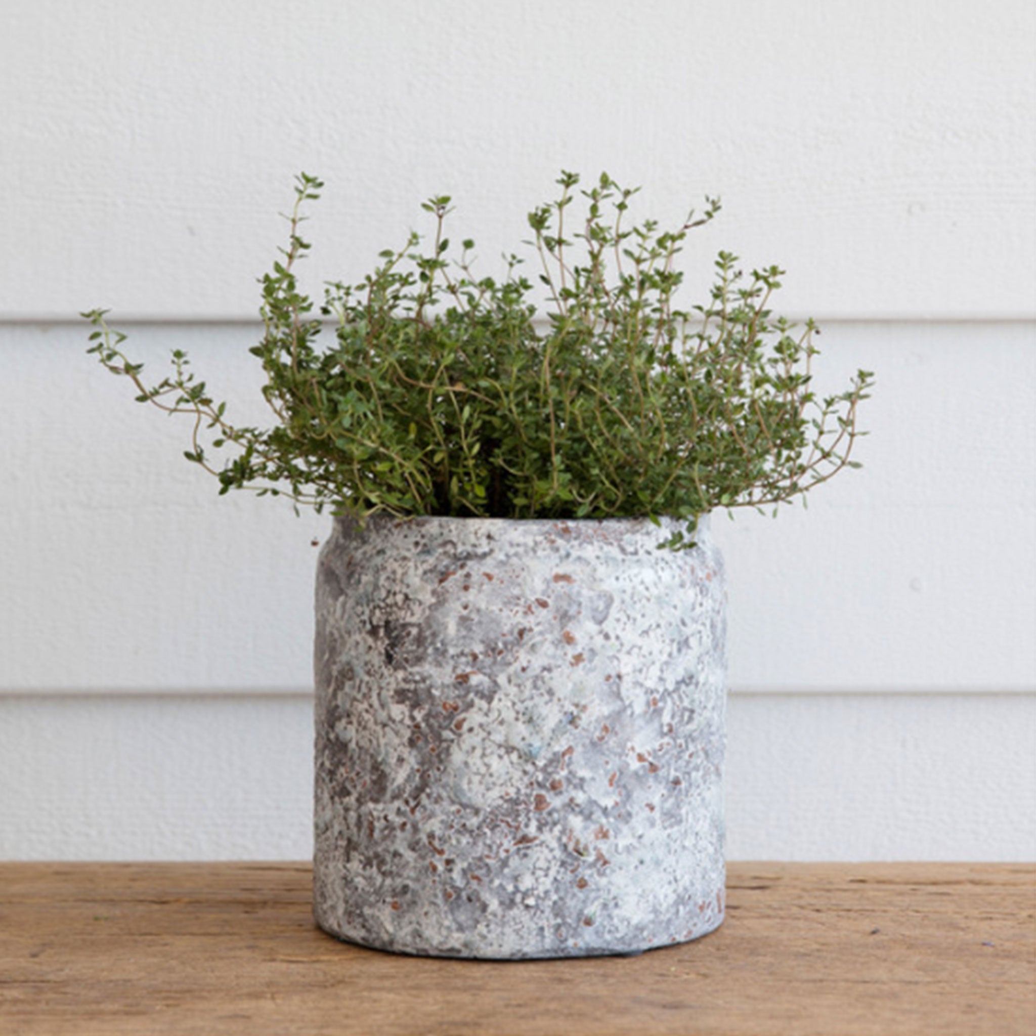 Withington Pot | 15.5cm