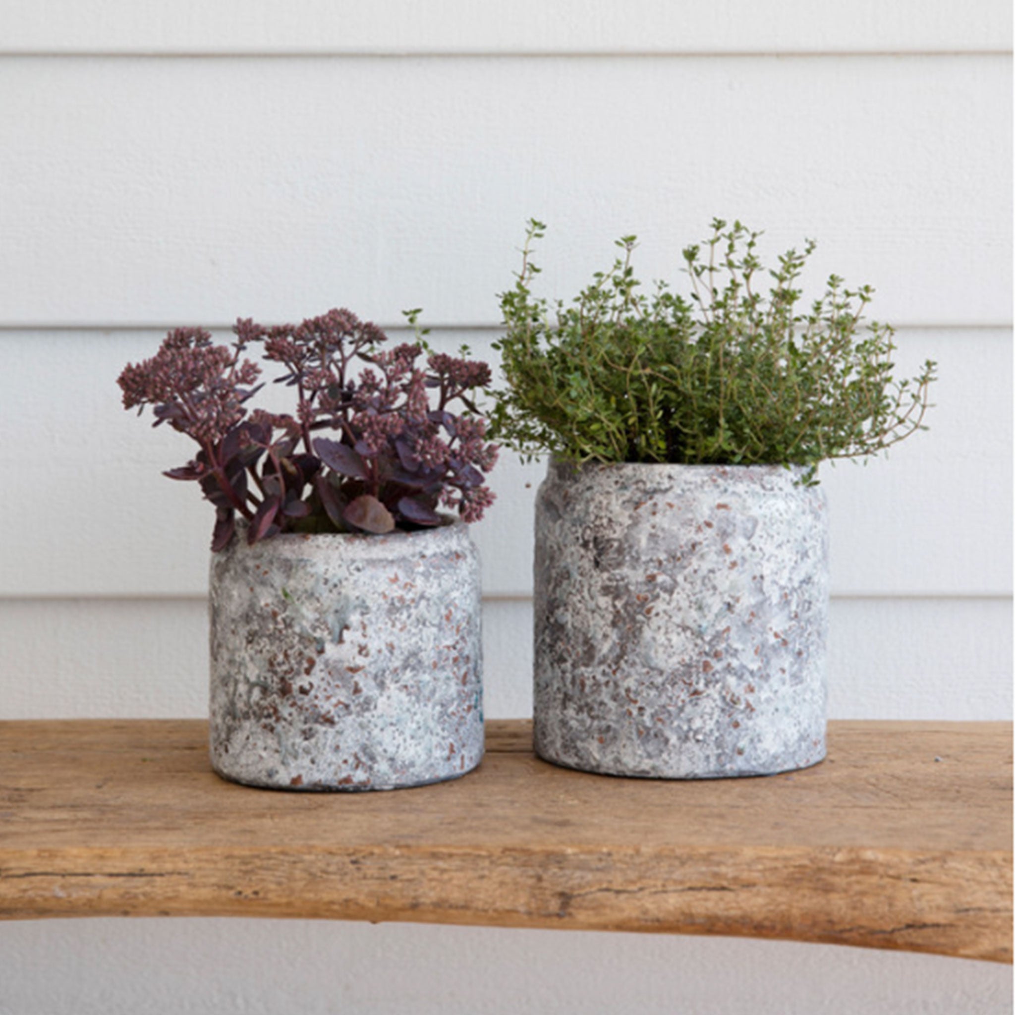 Withington Pot | 15.5cm