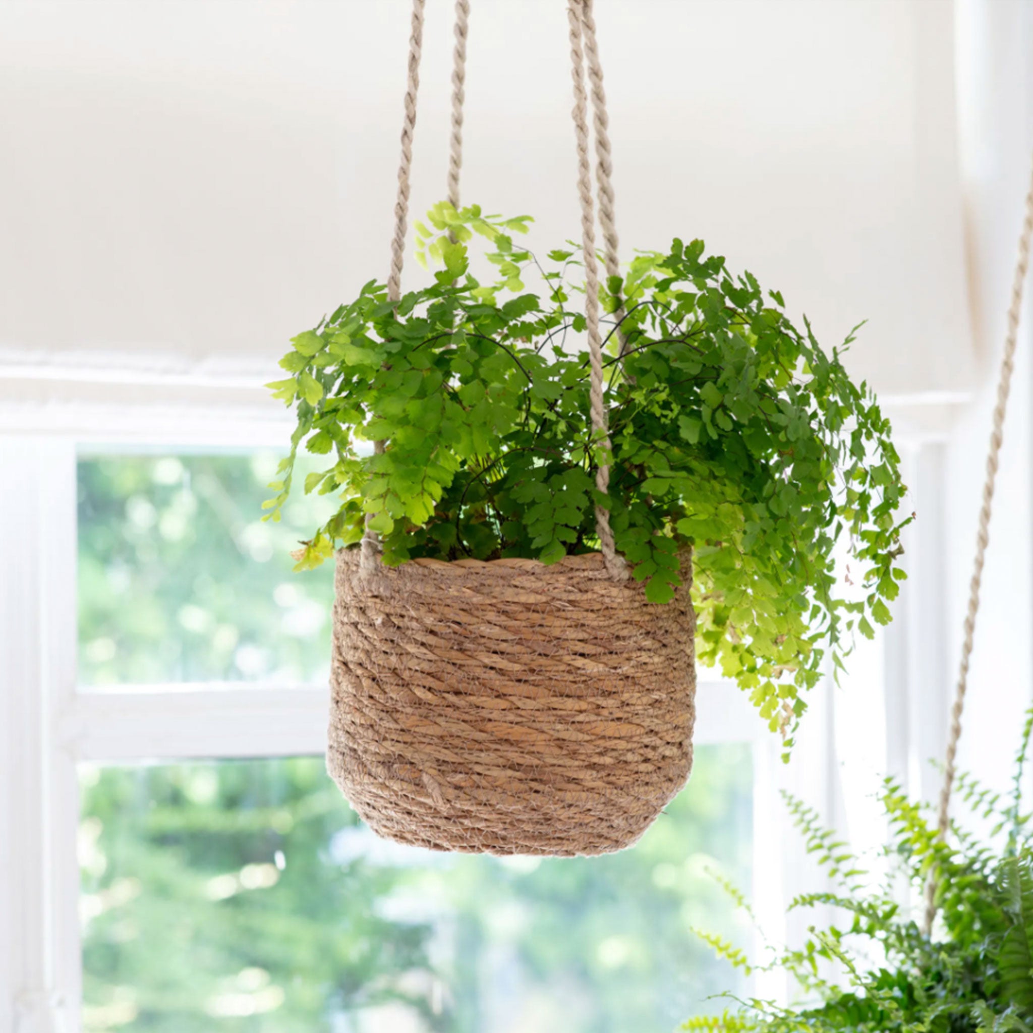 Woven Hanging Plant Pot  | Short