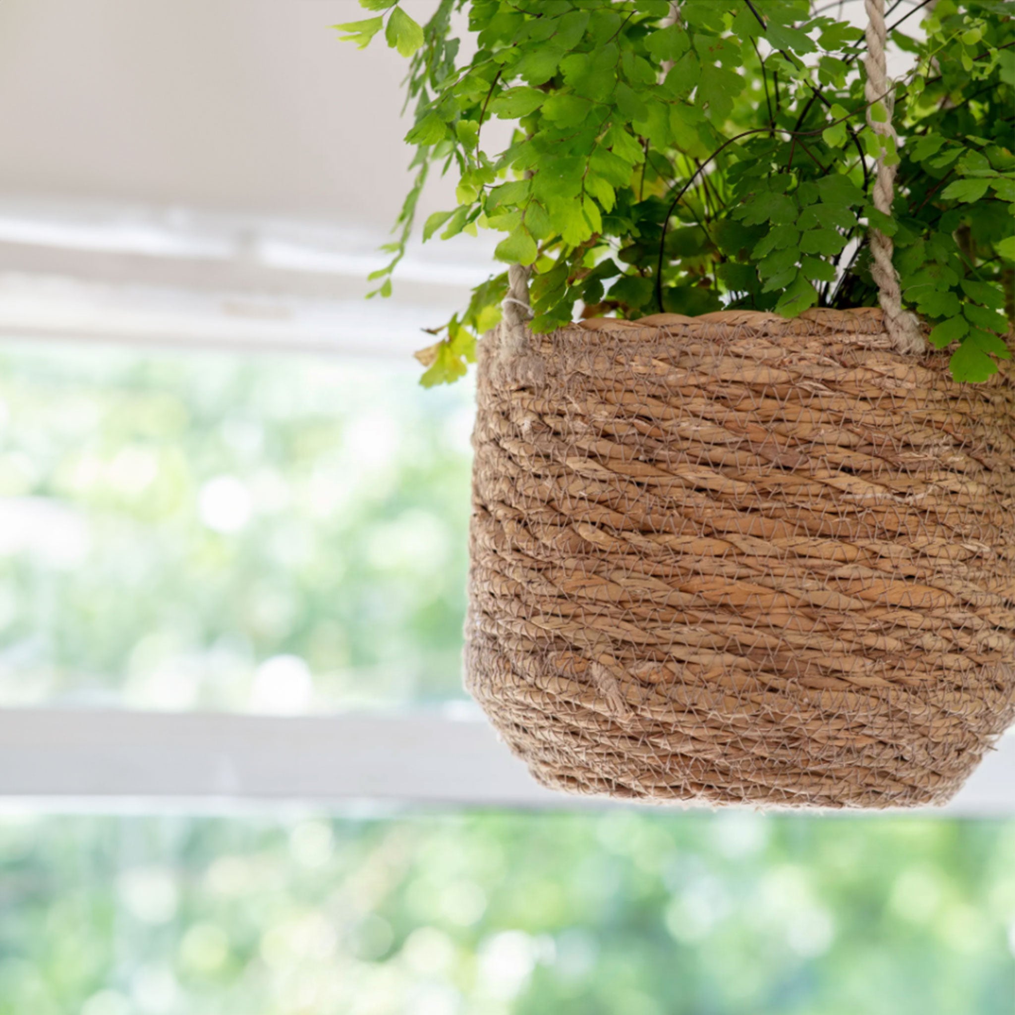 Woven Hanging Plant Pot  | Short